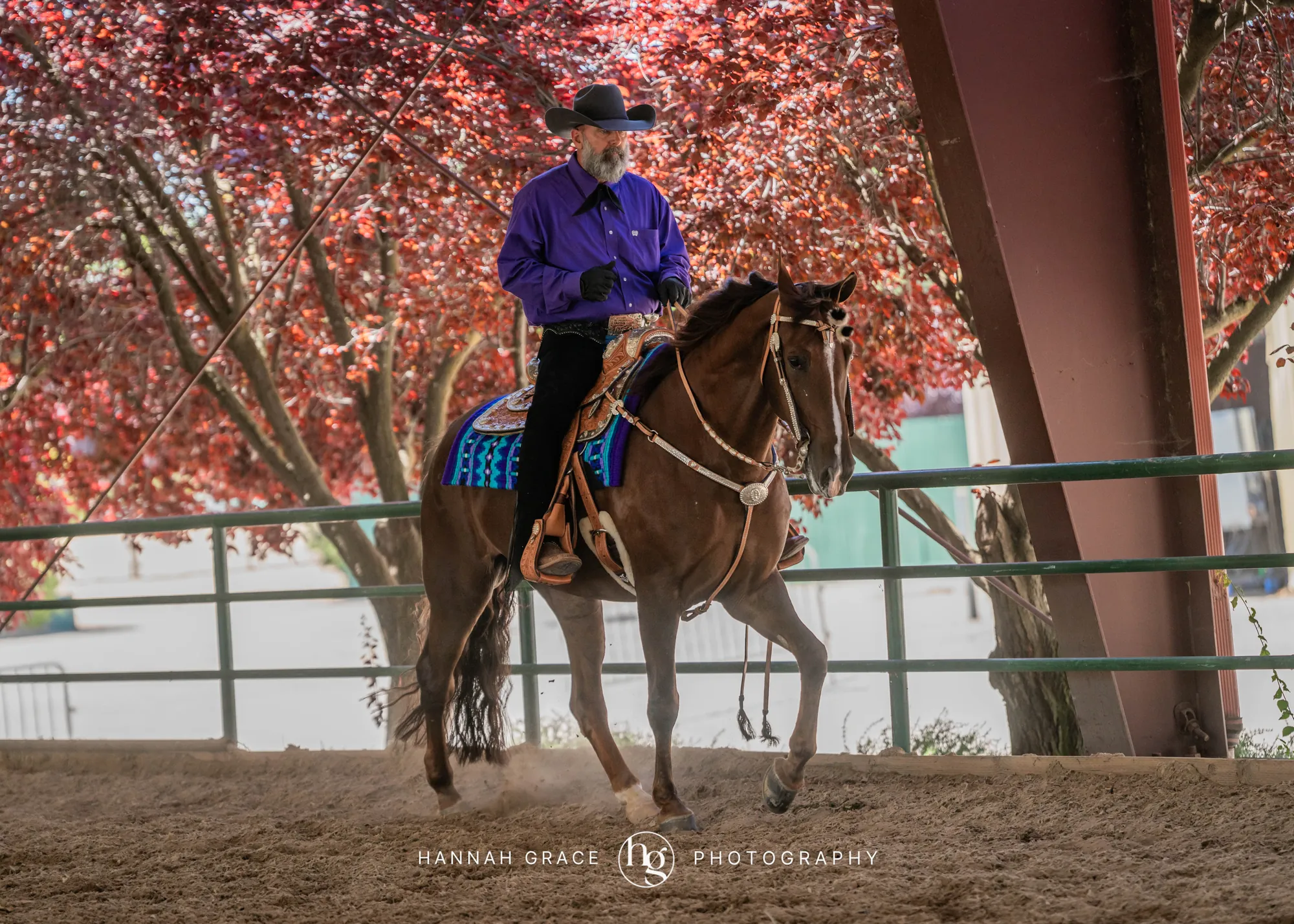 Noon's Trick or Treat