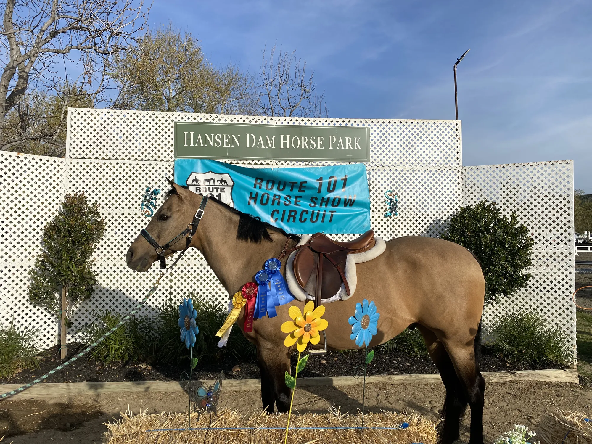 Noon's Trick or Treat