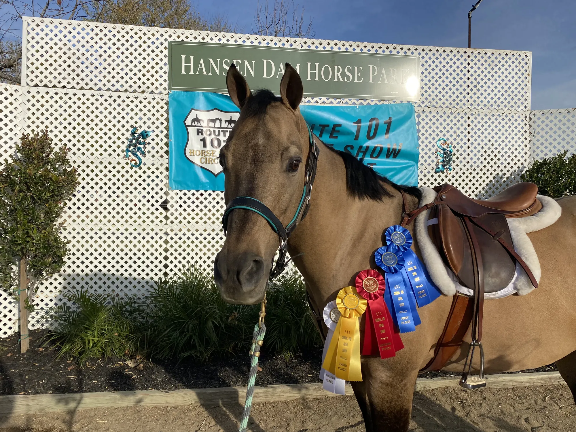 Noon's Trick or Treat