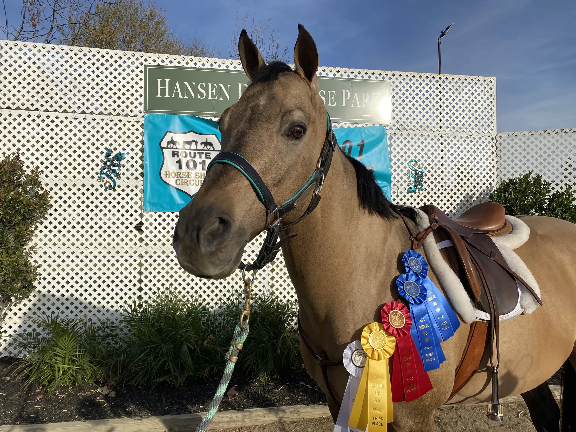 Noon's Trick or Treat