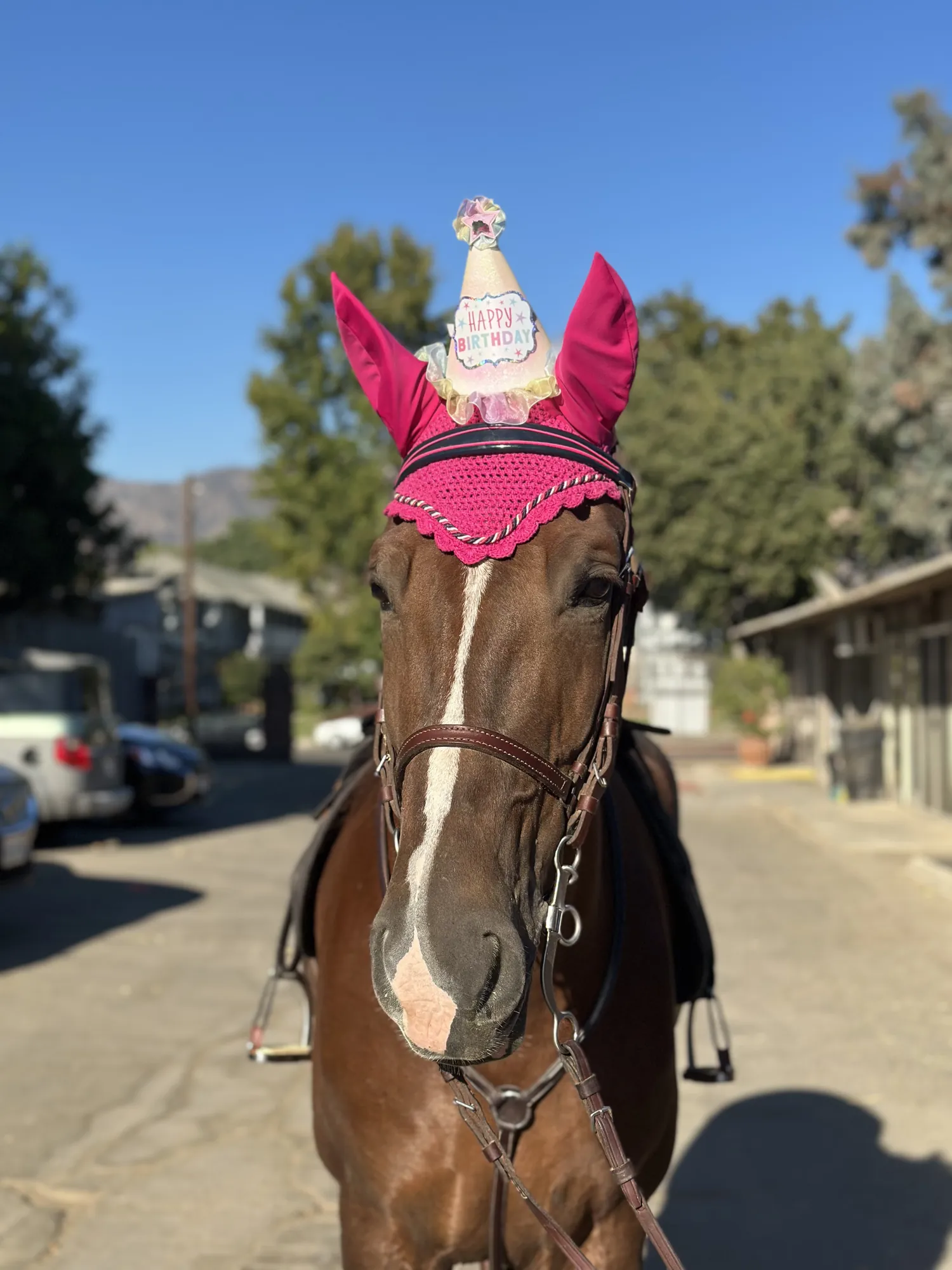 Noon's Trick or Treat