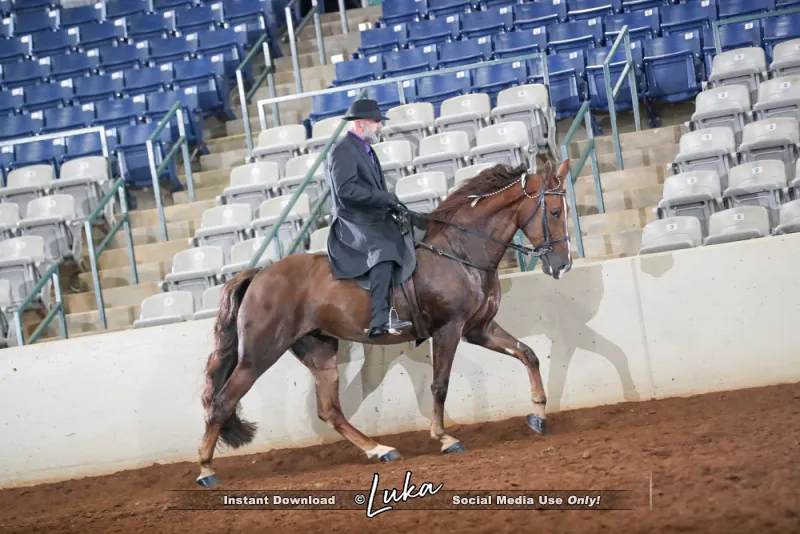 Noon's Trick or Treat