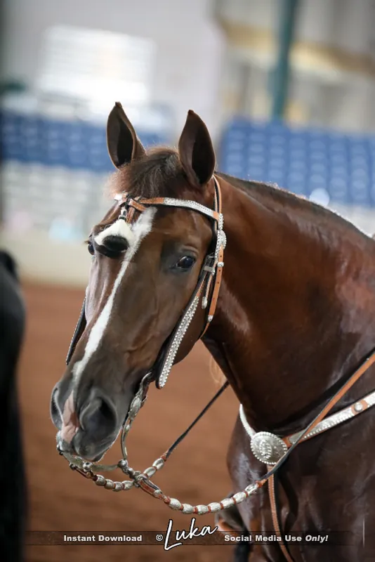 Noon's Trick or Treat