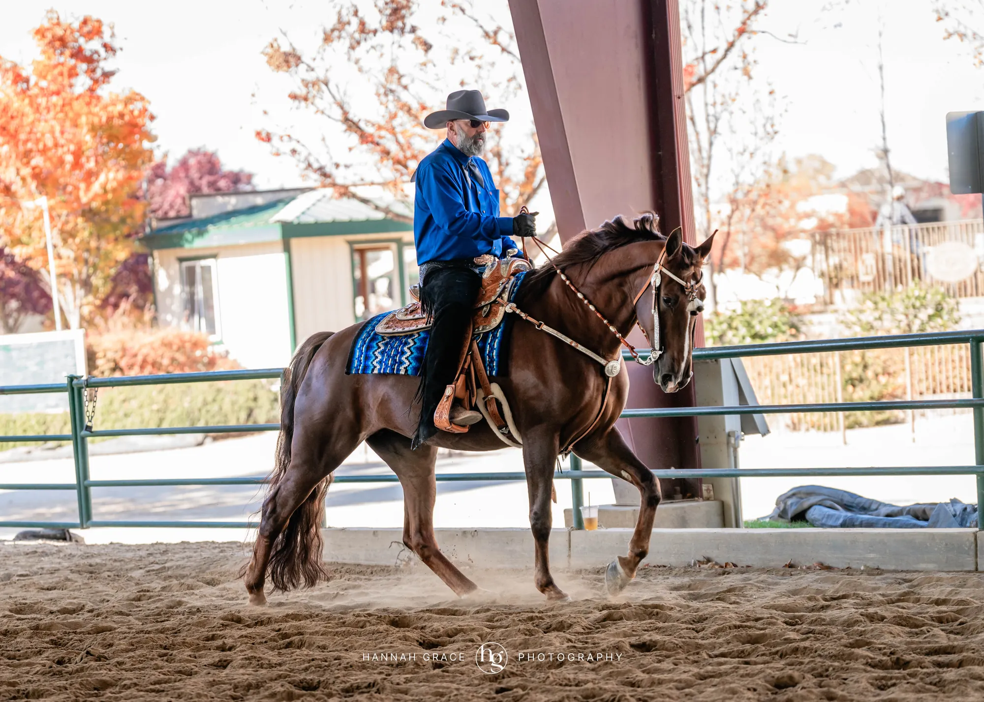 Noon's Trick or Treat