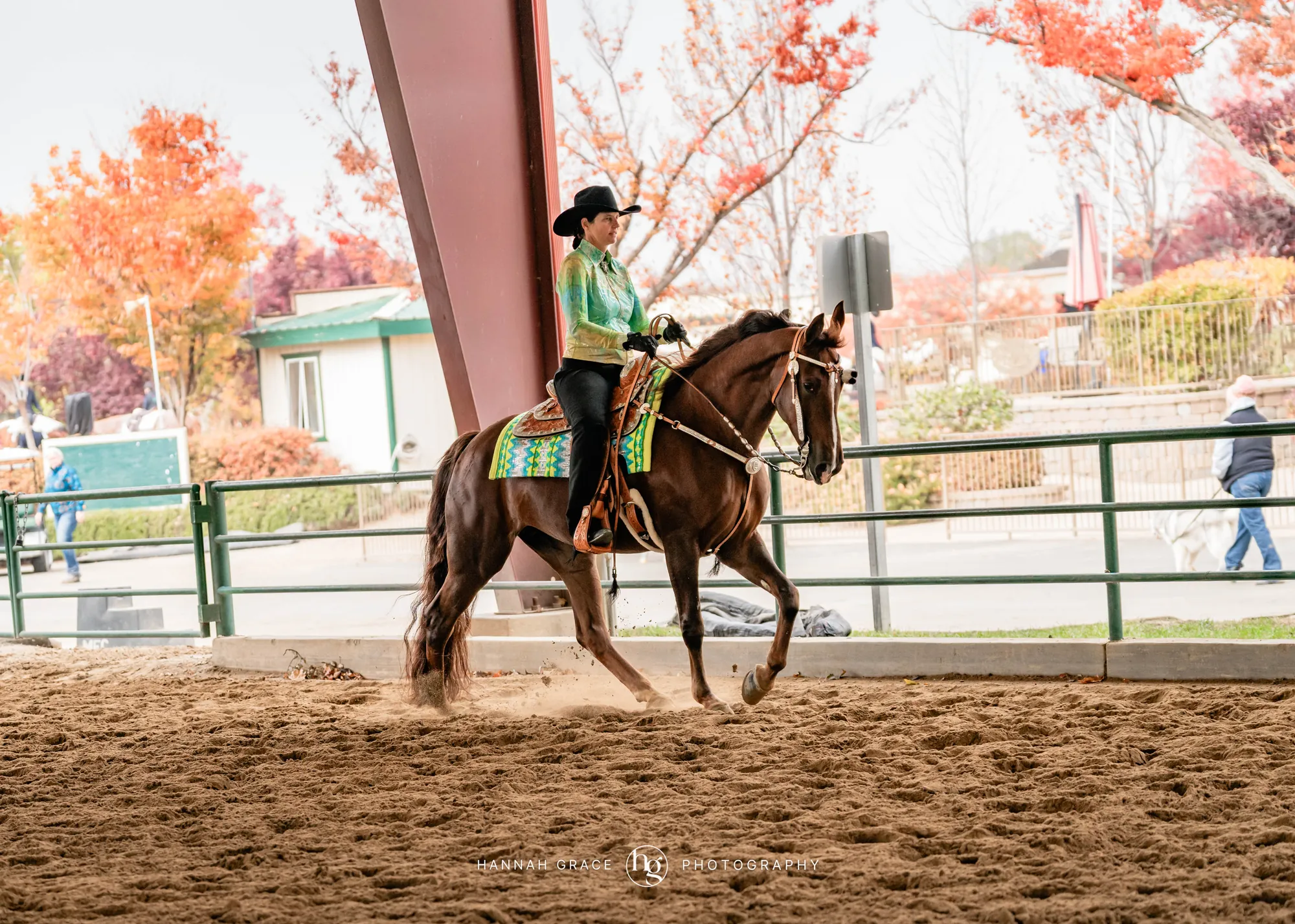 Noon's Trick or Treat