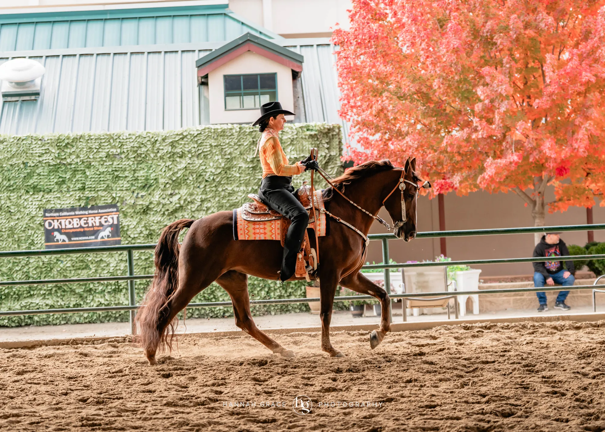 Noon's Trick or Treat