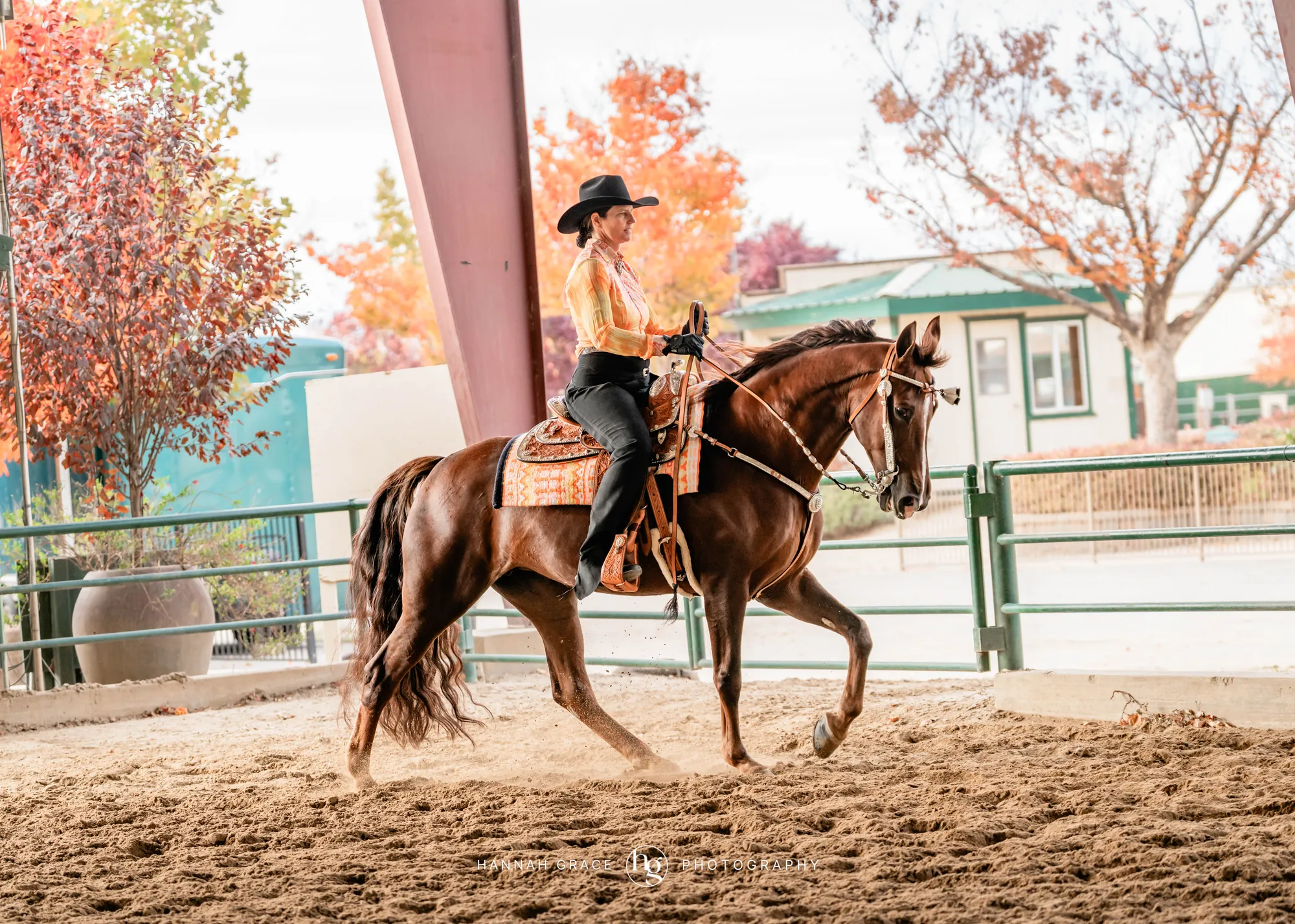 Noon's Trick or Treat