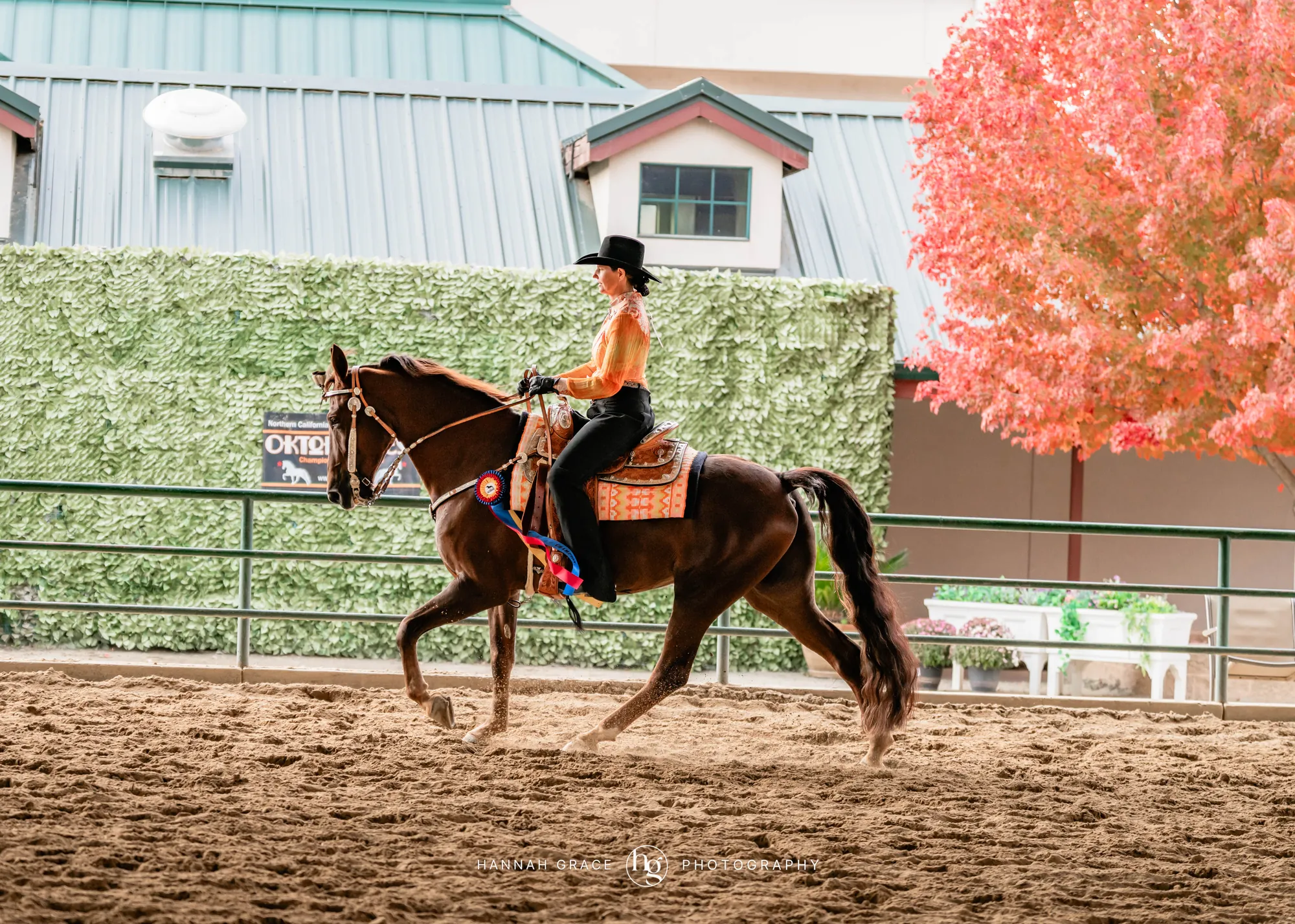 Noon's Trick or Treat