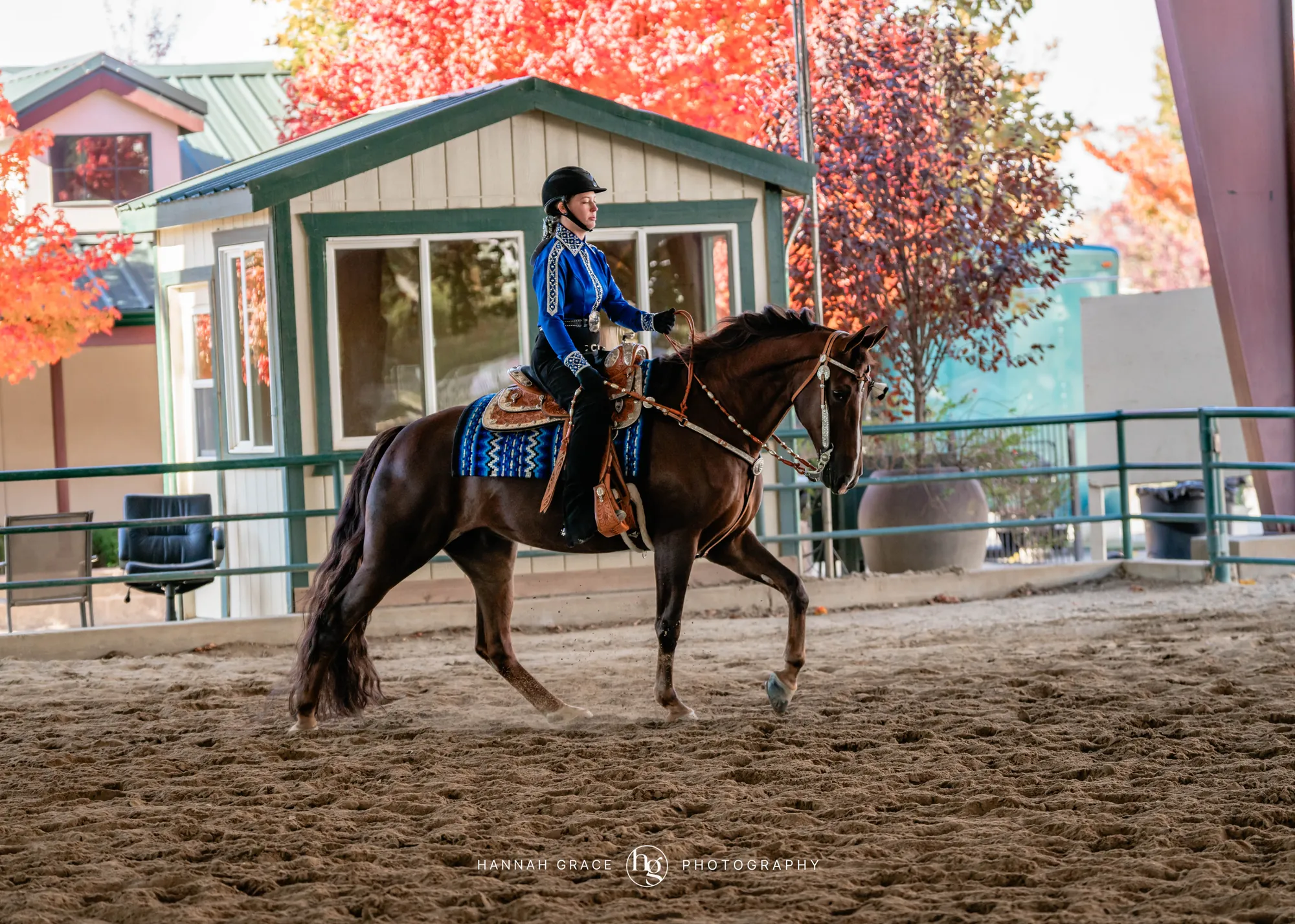 Noon's Trick or Treat