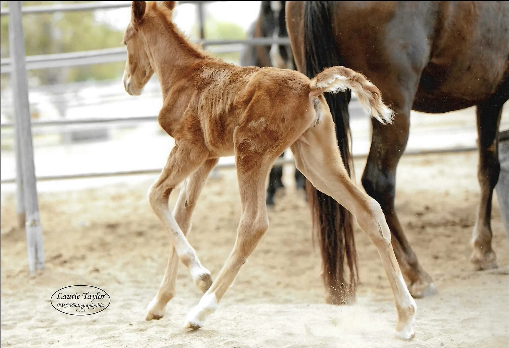 Noon's Trick or Treat