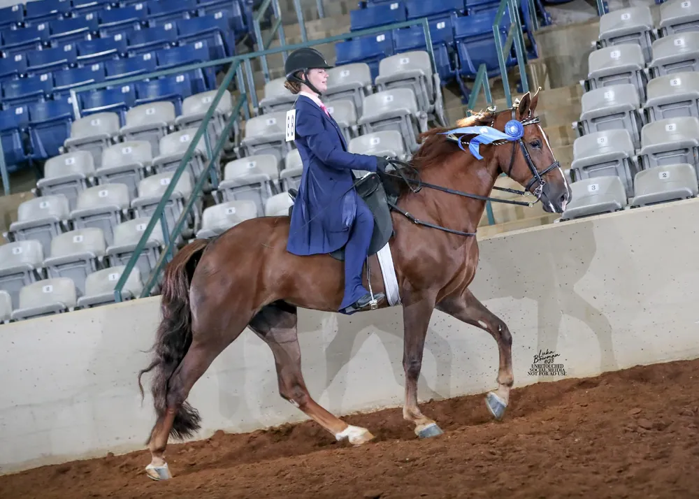 Noon's Trick or Treat