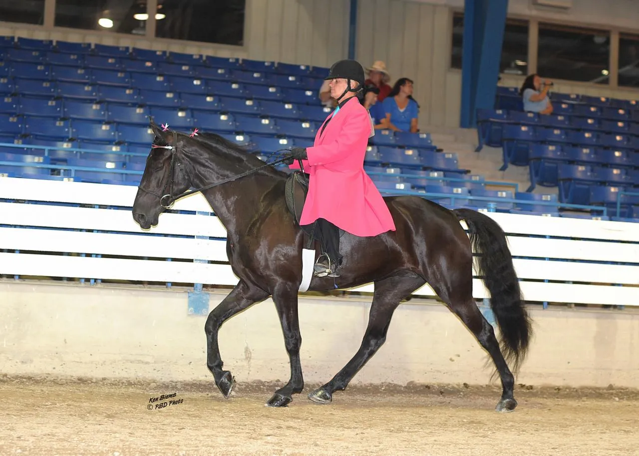 Copper's Morning Glory