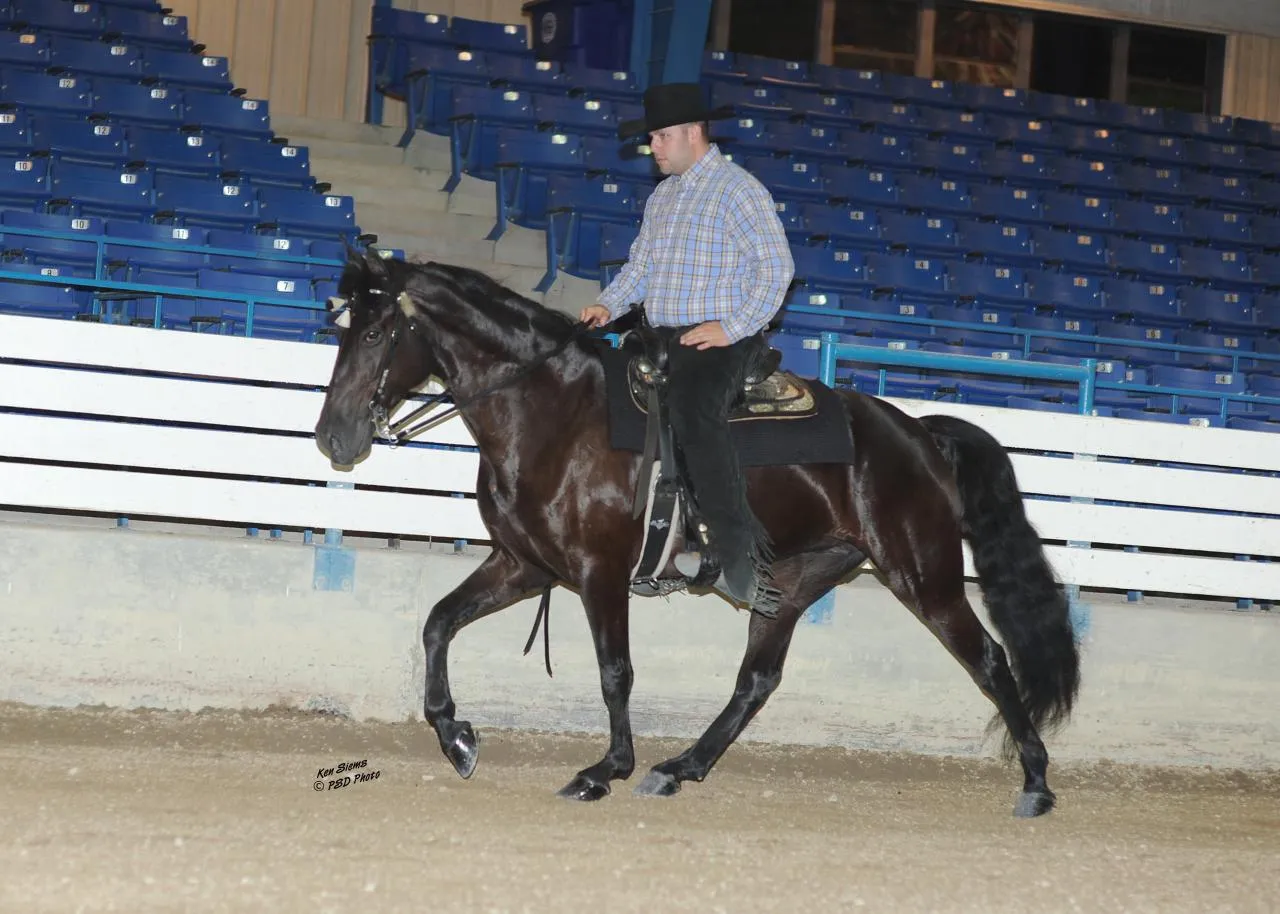 Copper's Morning Glory