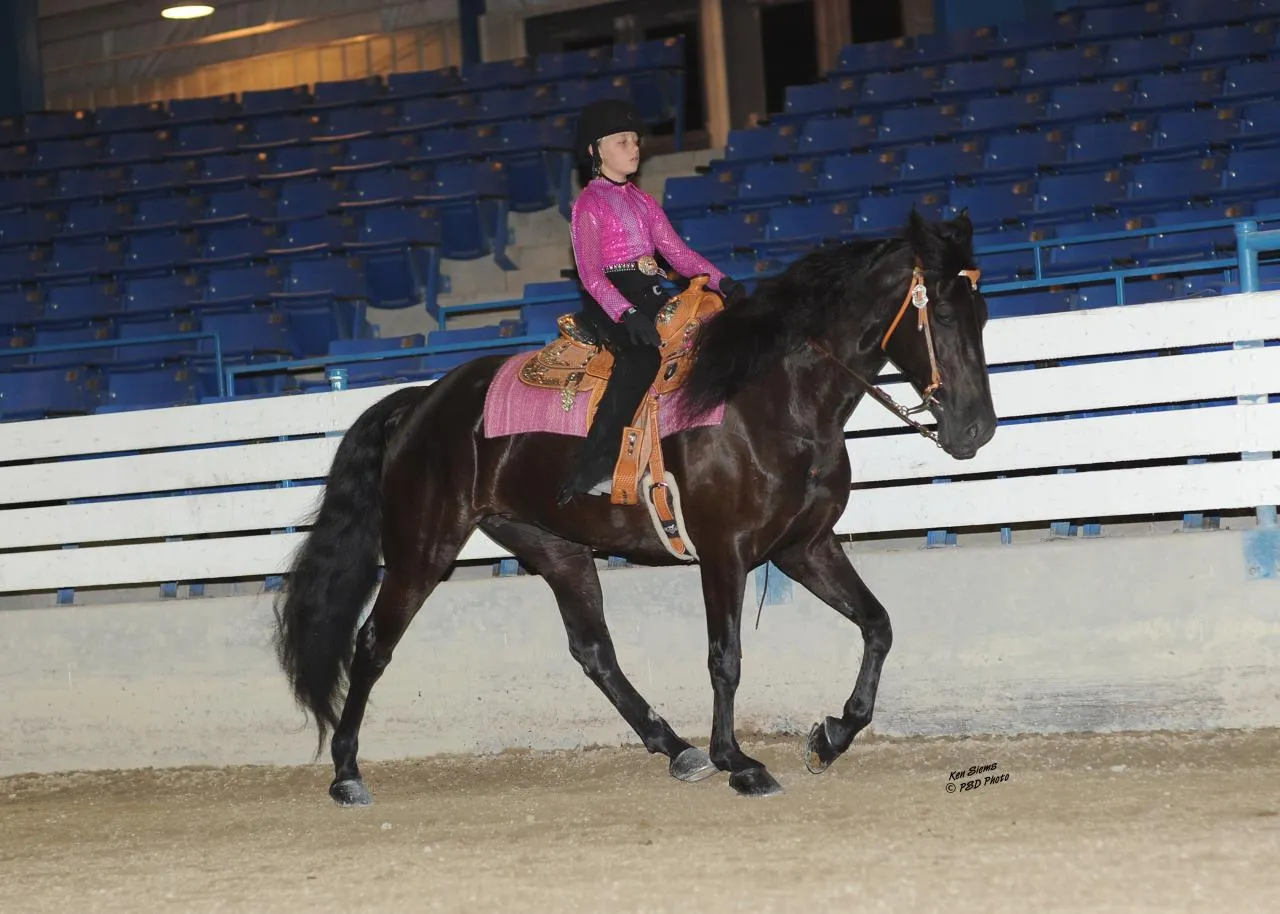 Copper's Morning Glory