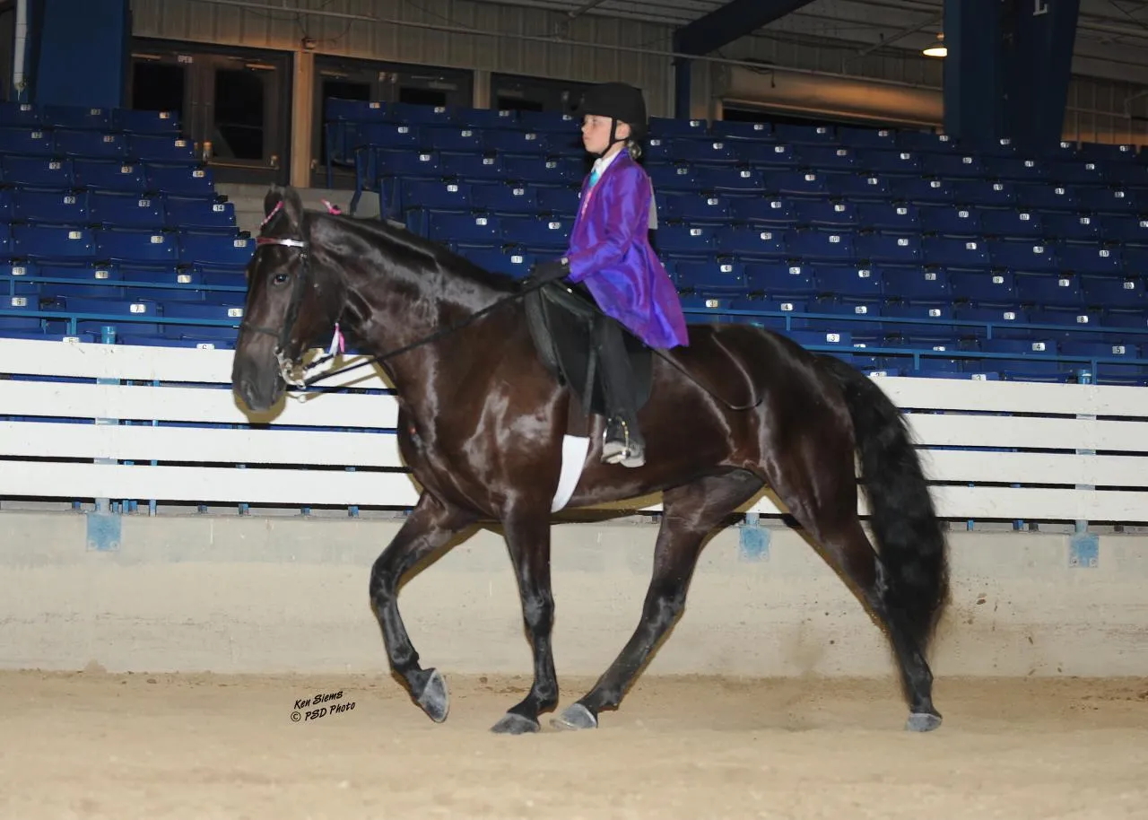 Copper's Morning Glory