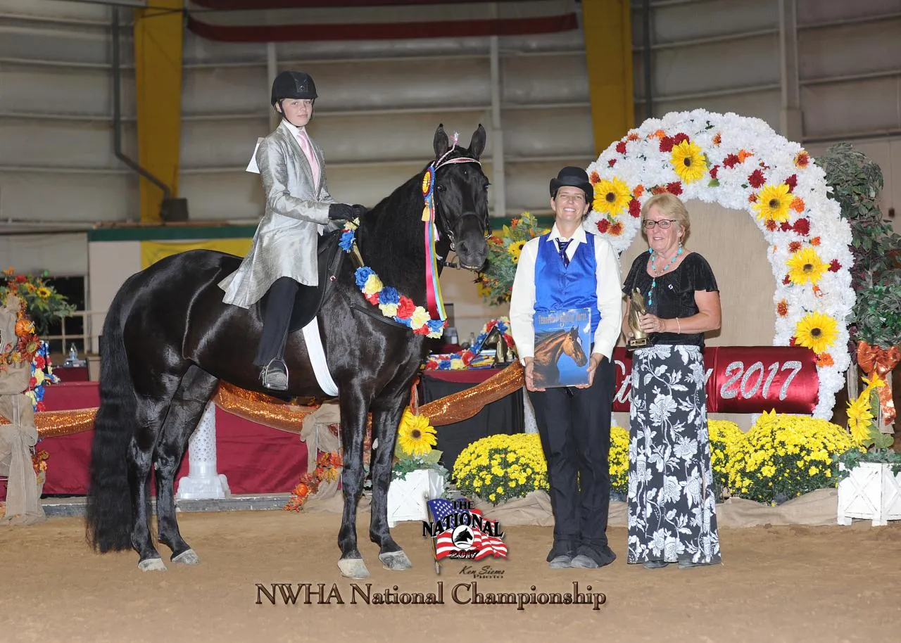 Copper's Morning Glory