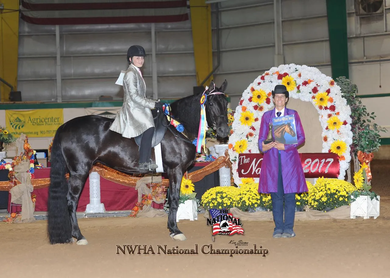 Copper's Morning Glory