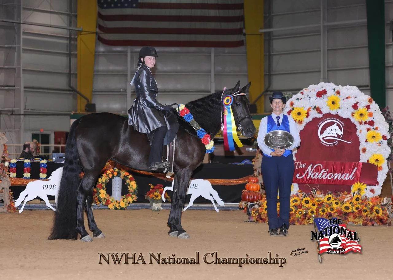 Copper's Morning Glory