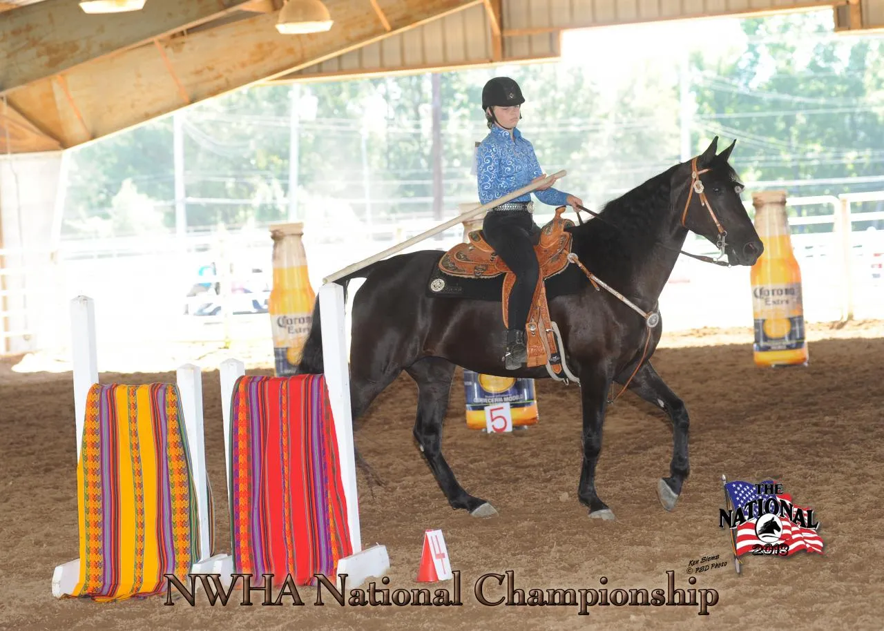 Copper's Morning Glory