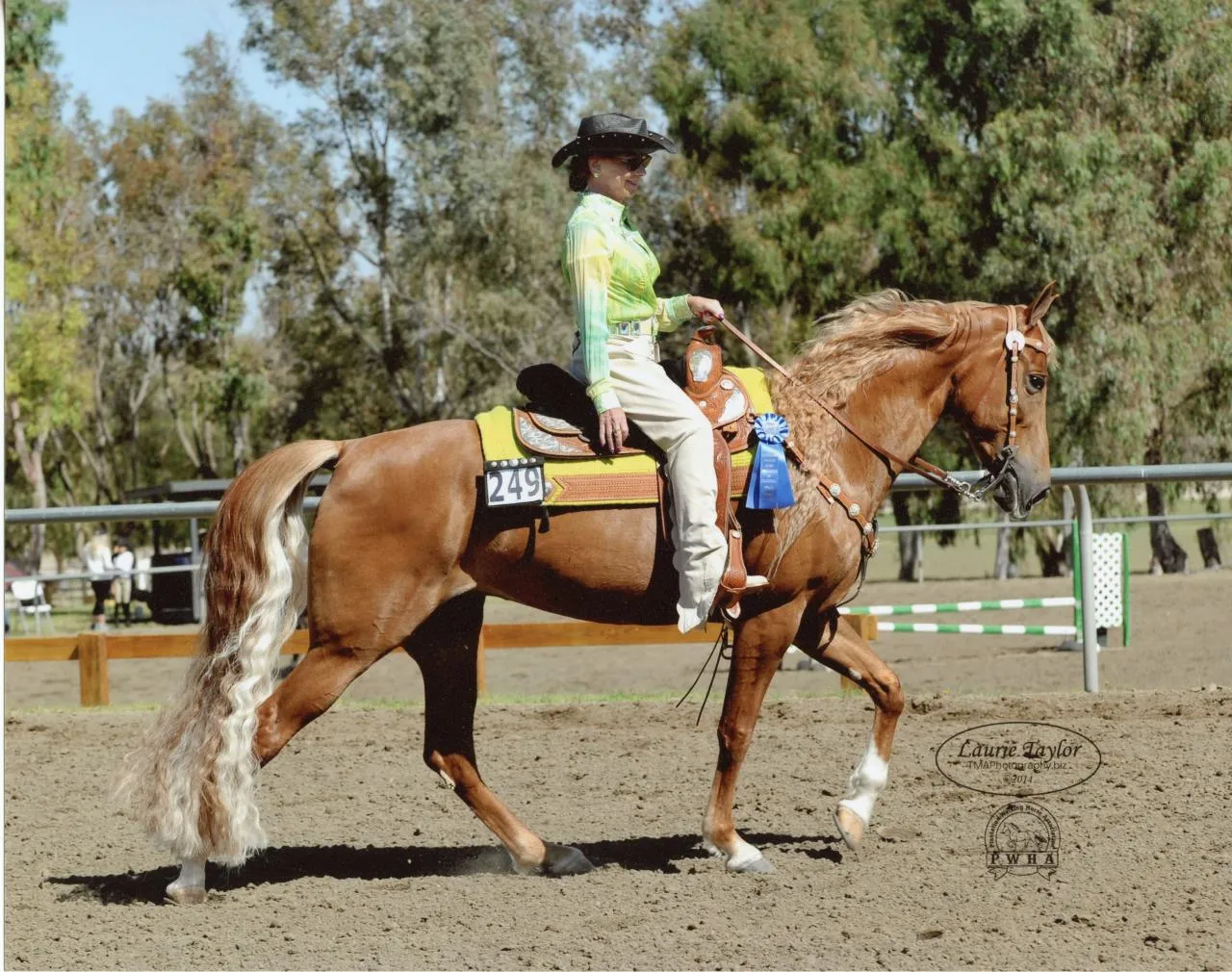 Bad News Royal Martini