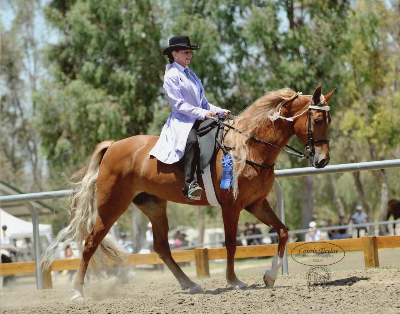 Bad News Royal Martini