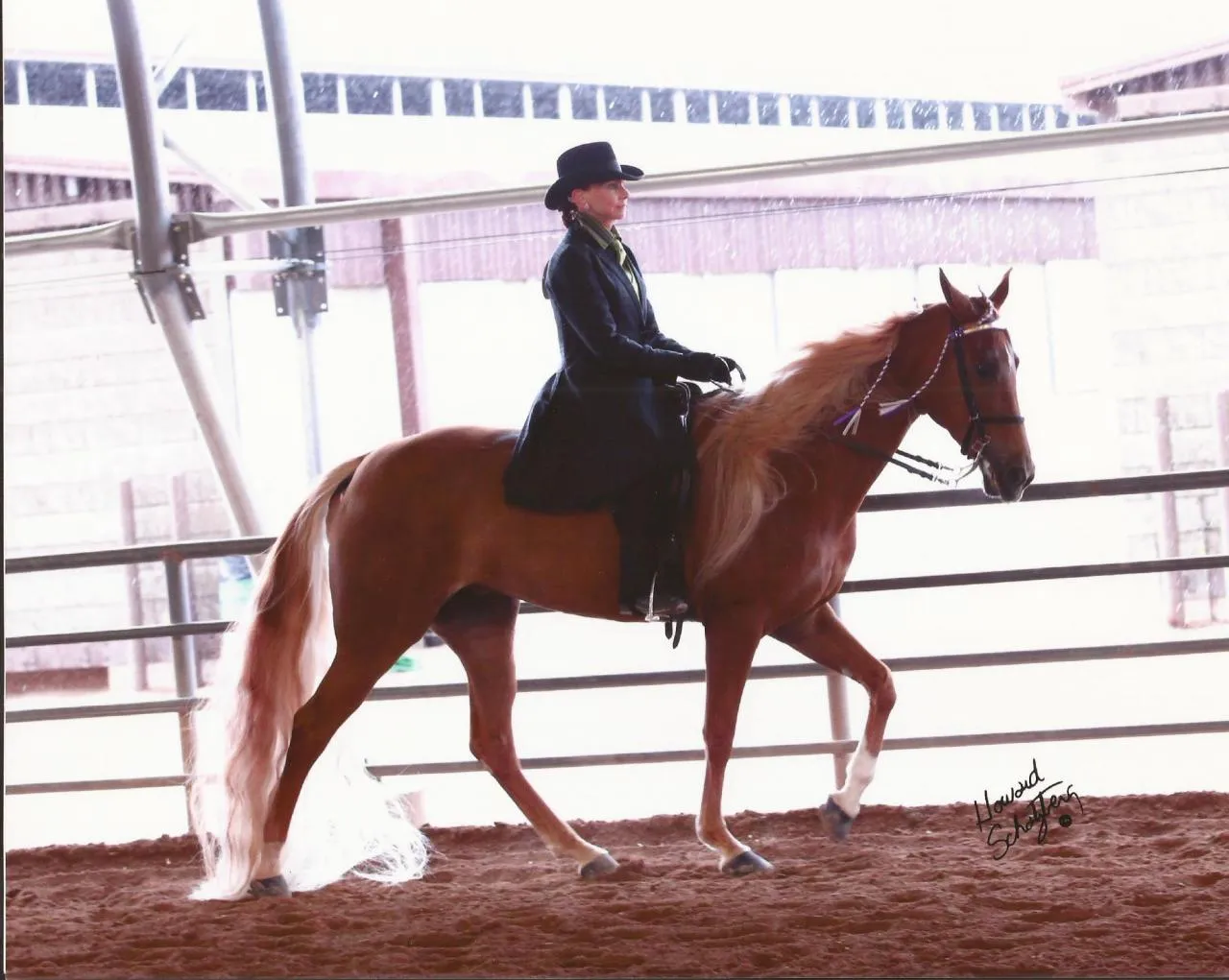 Bad News Royal Martini