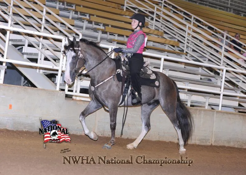 2018 NWHA National
