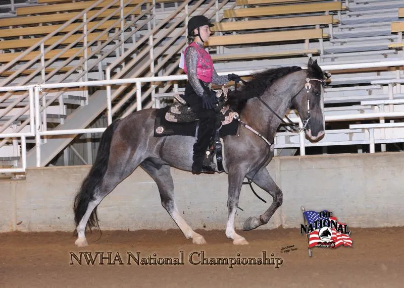 2018 NWHA National