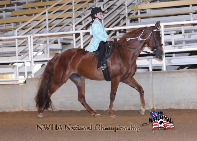 2018 NWHA National