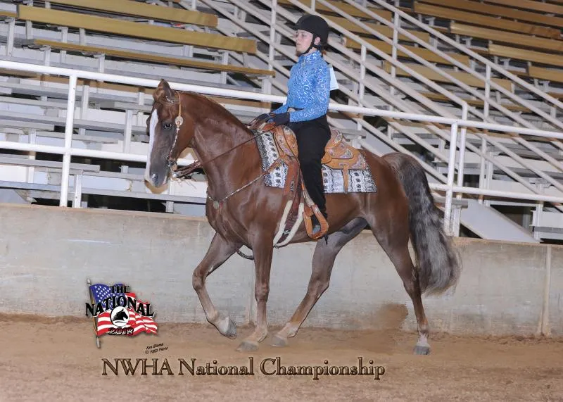 2018 NWHA National