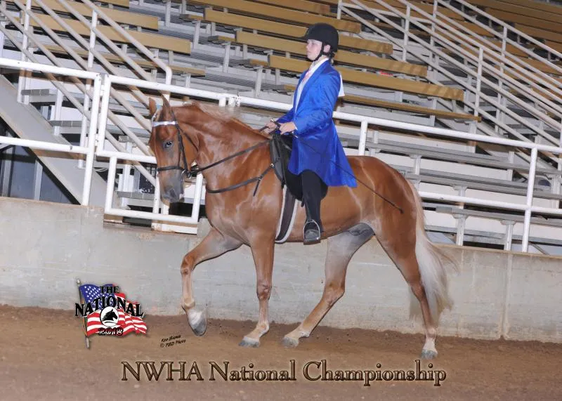 2018 NWHA National