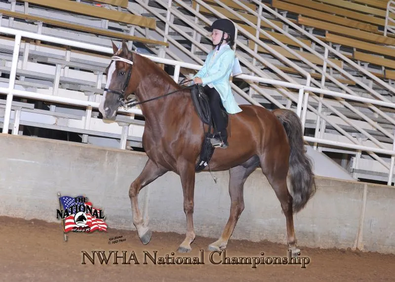 2018 NWHA National