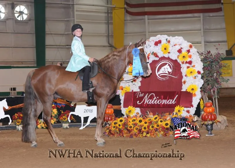 2018 NWHA National