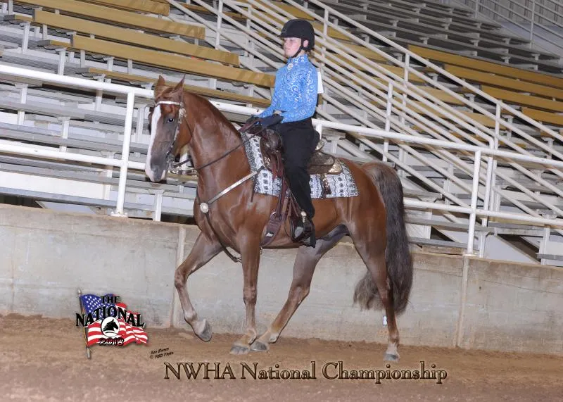 2018 NWHA National
