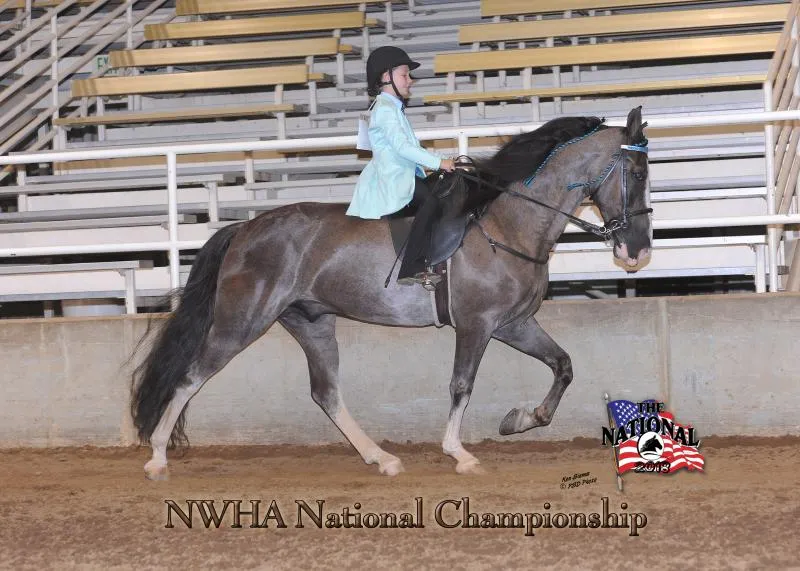 2018 NWHA National