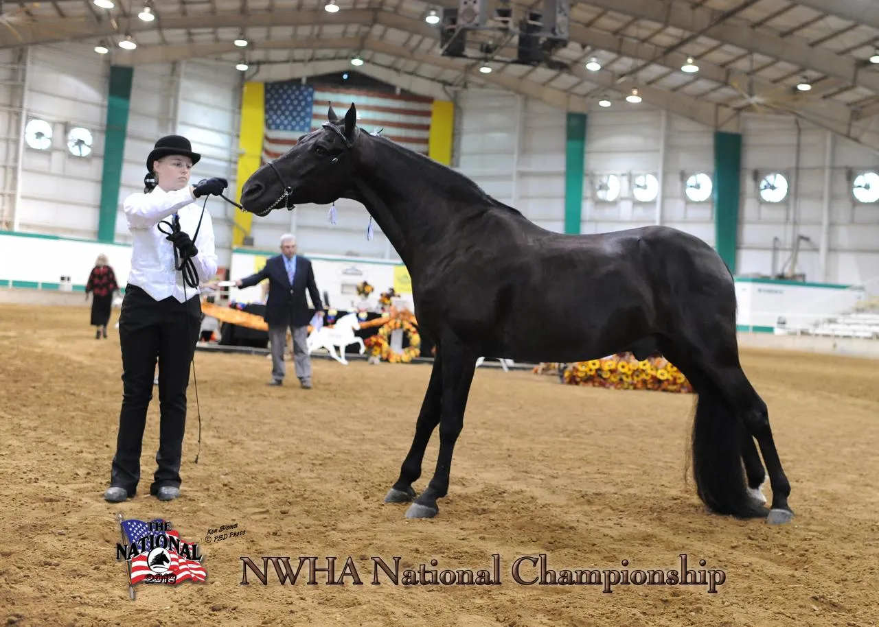 2018 NWHA National