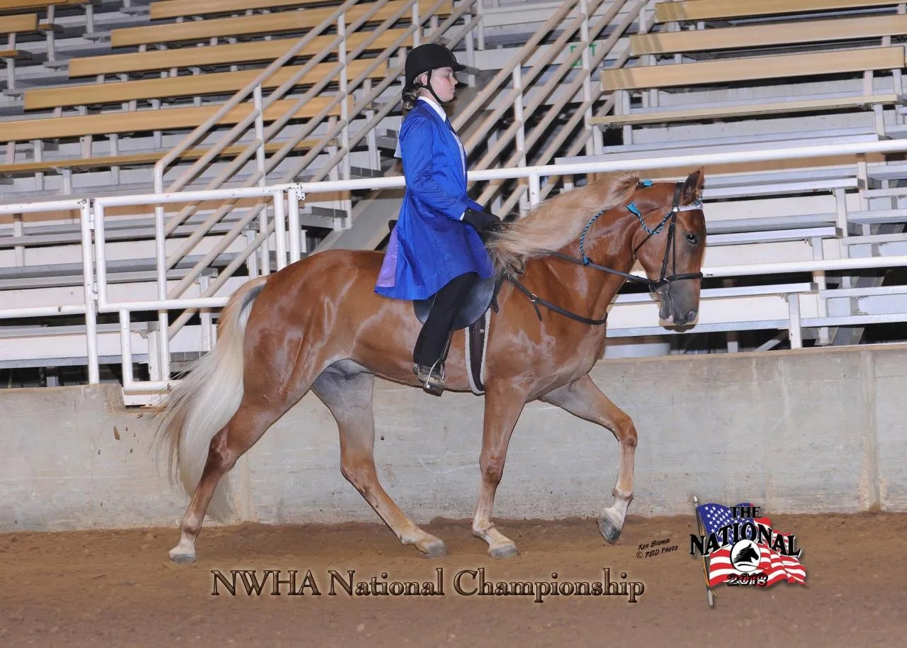 2018 NWHA National