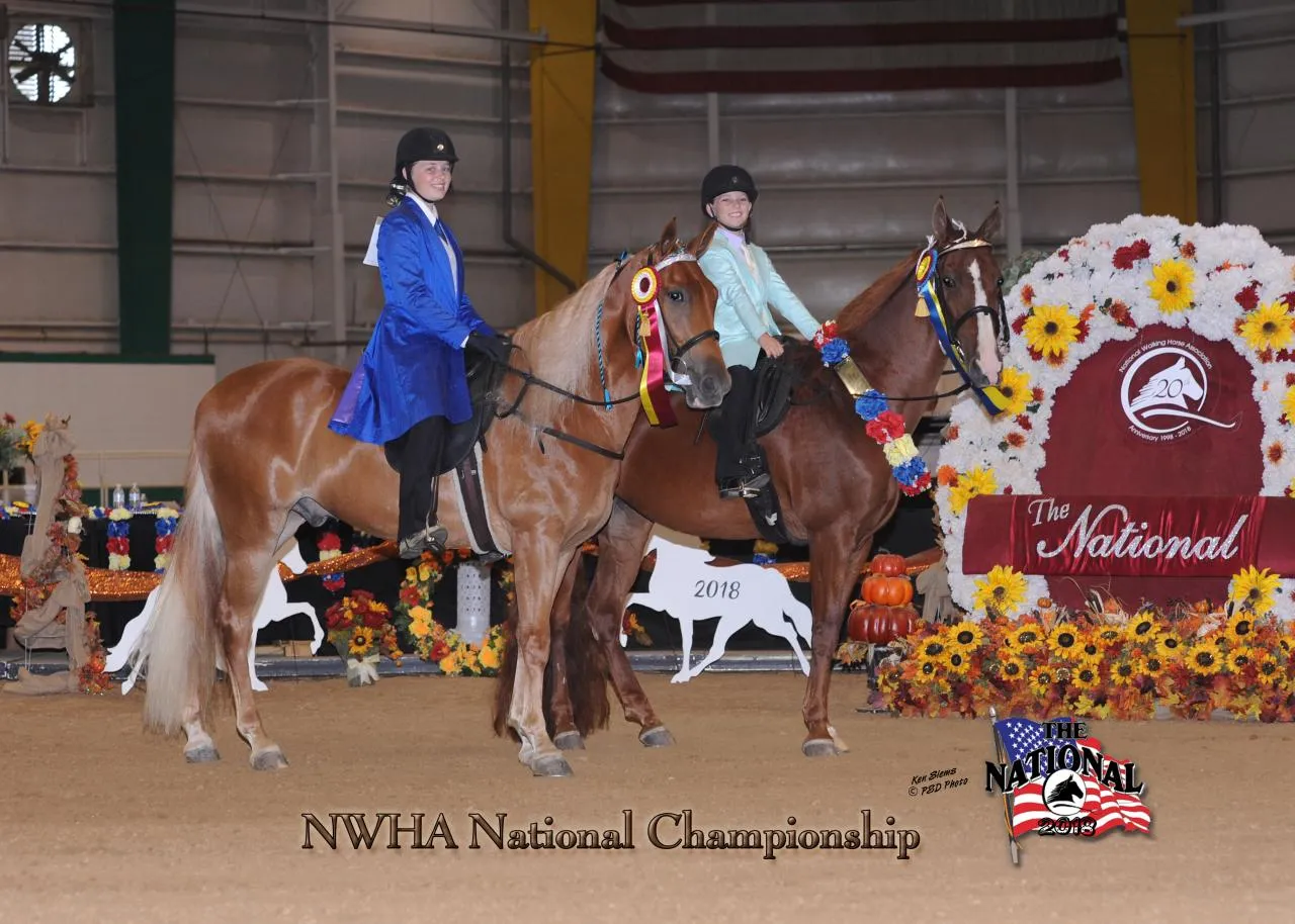 2018 NWHA National