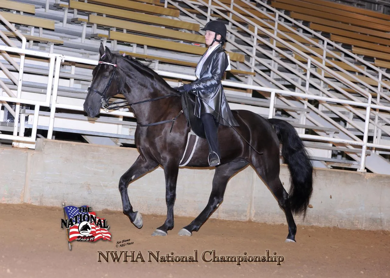 2018 NWHA National