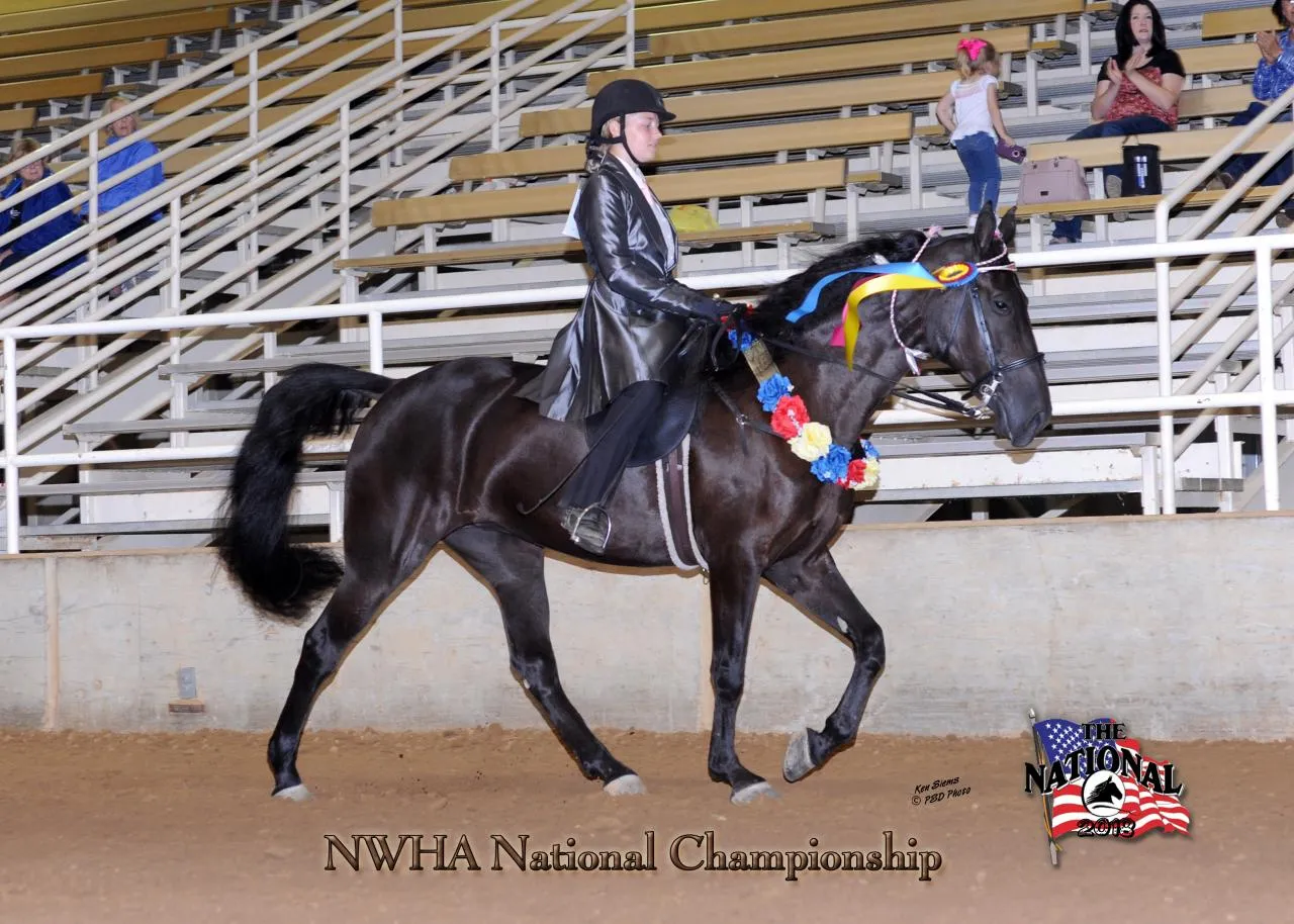 2018 NWHA National