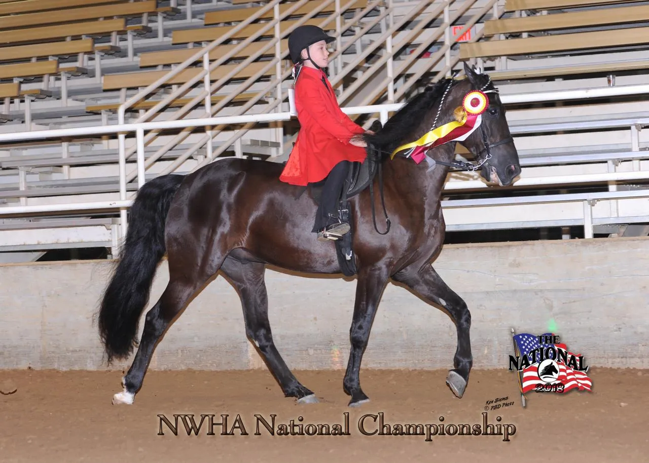 2018 NWHA National