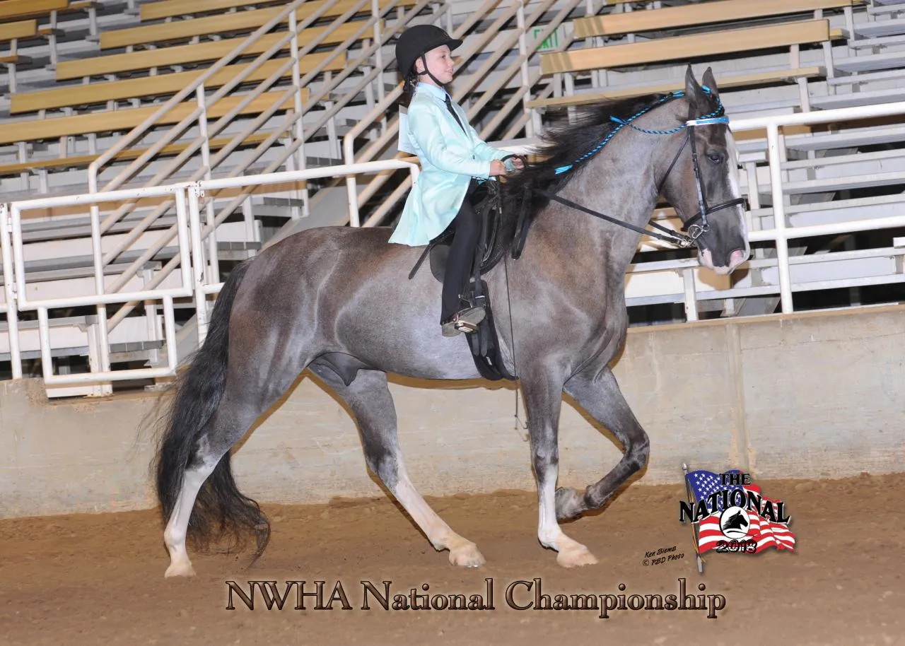 2018 NWHA National