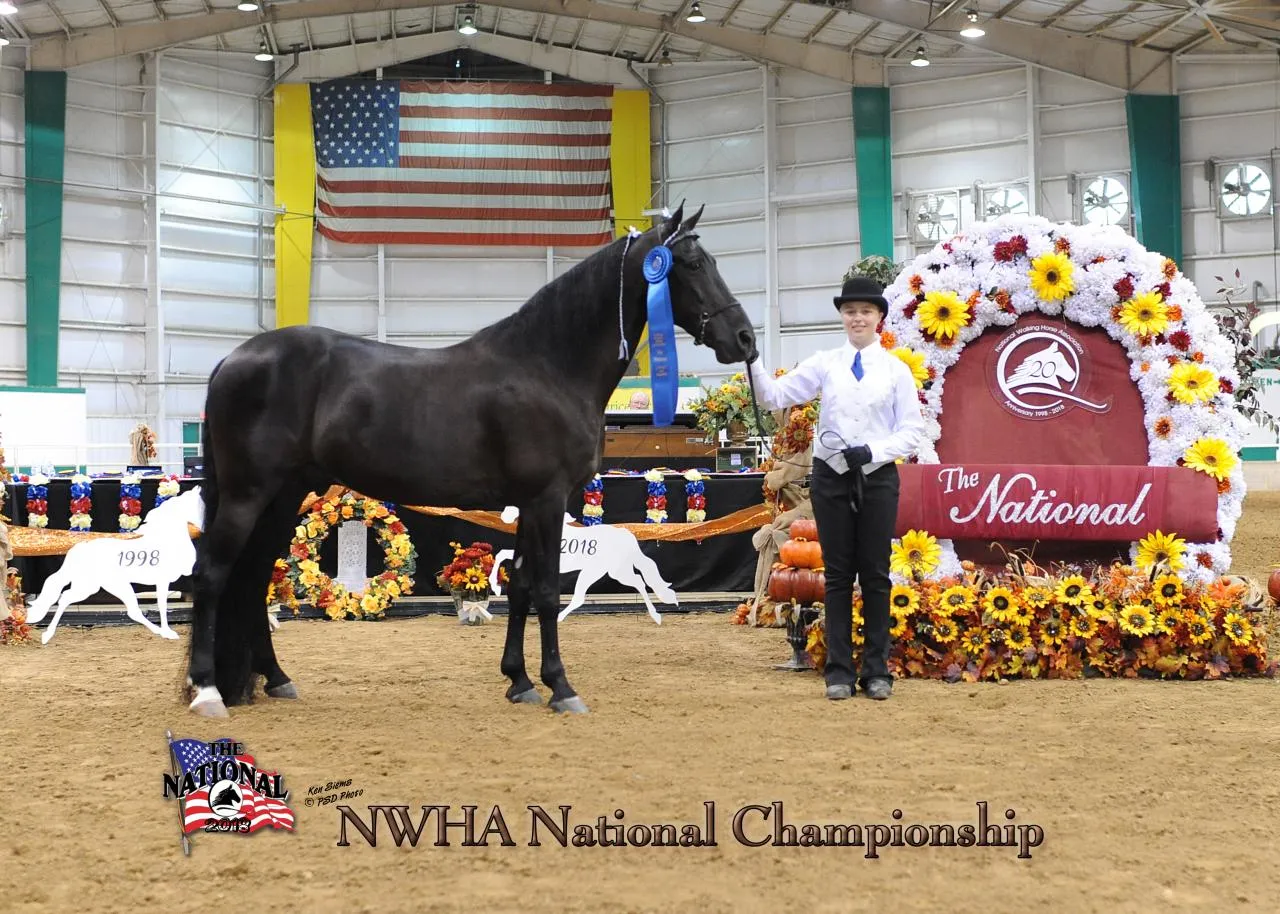 2018 NWHA National