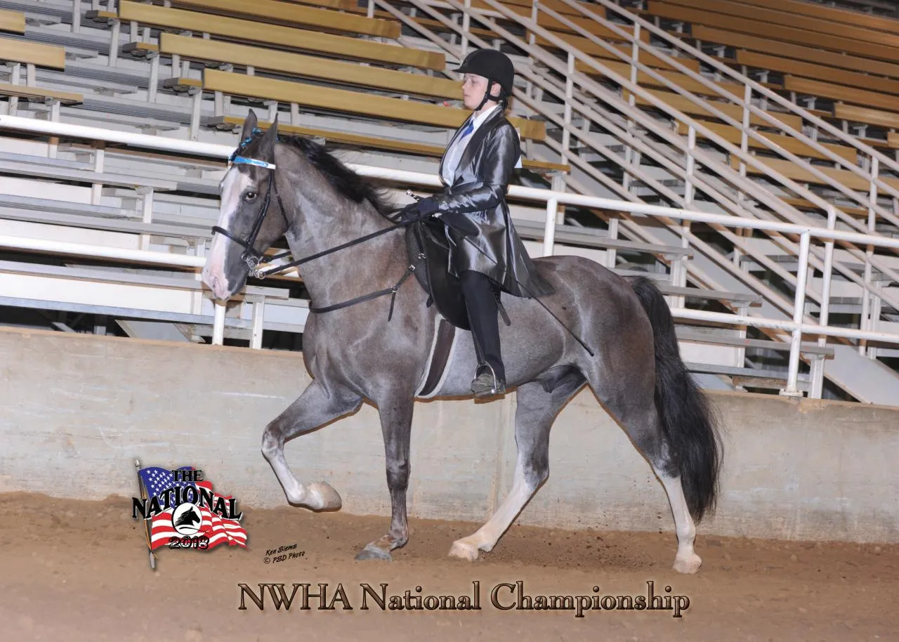 2018 NWHA National