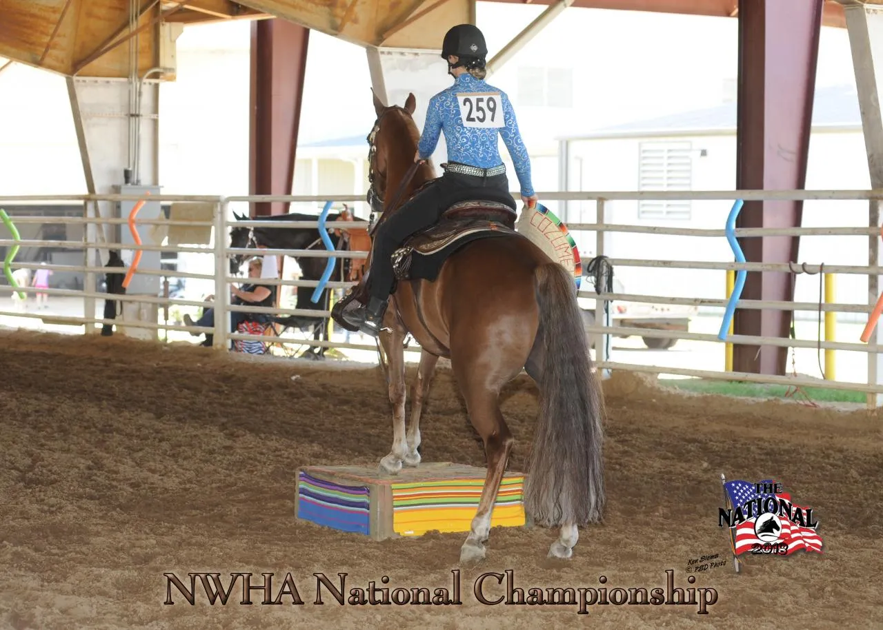 2018 NWHA National