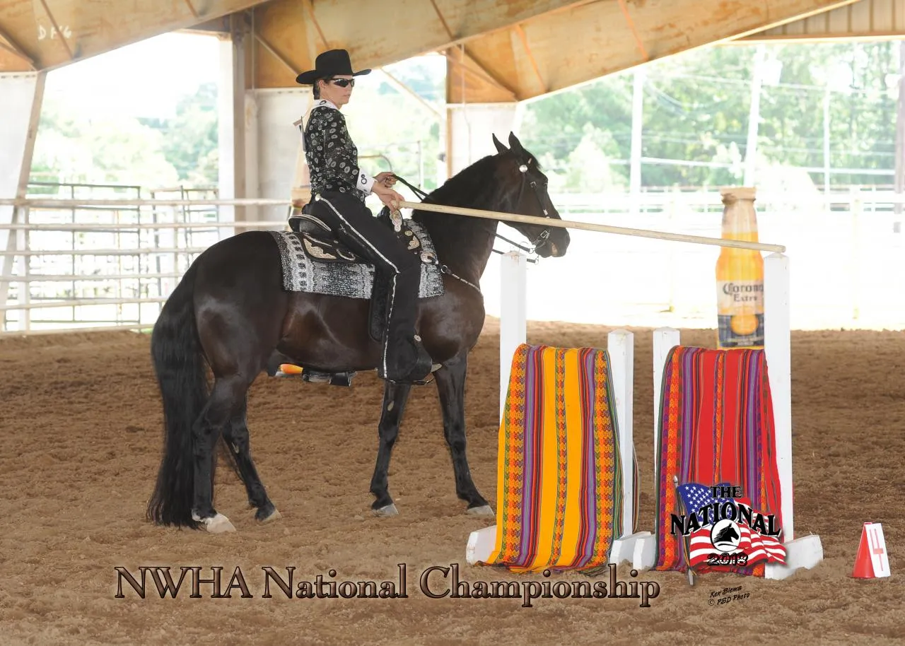2018 NWHA National