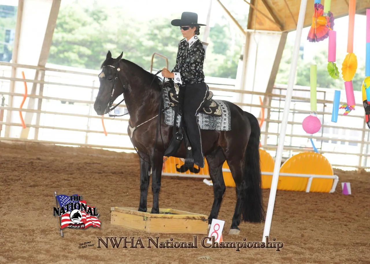 2018 NWHA National