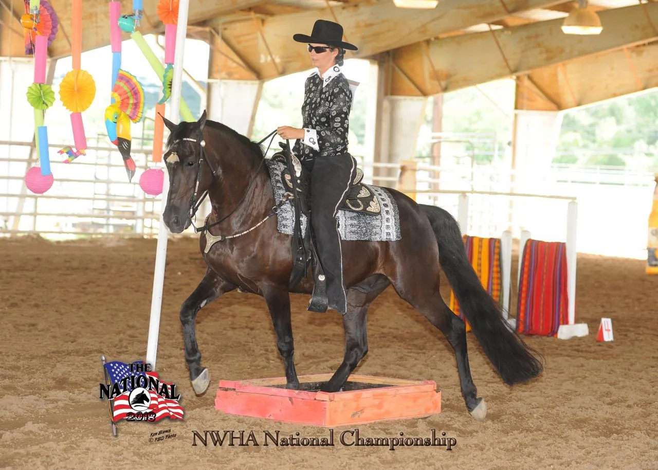 2018 NWHA National