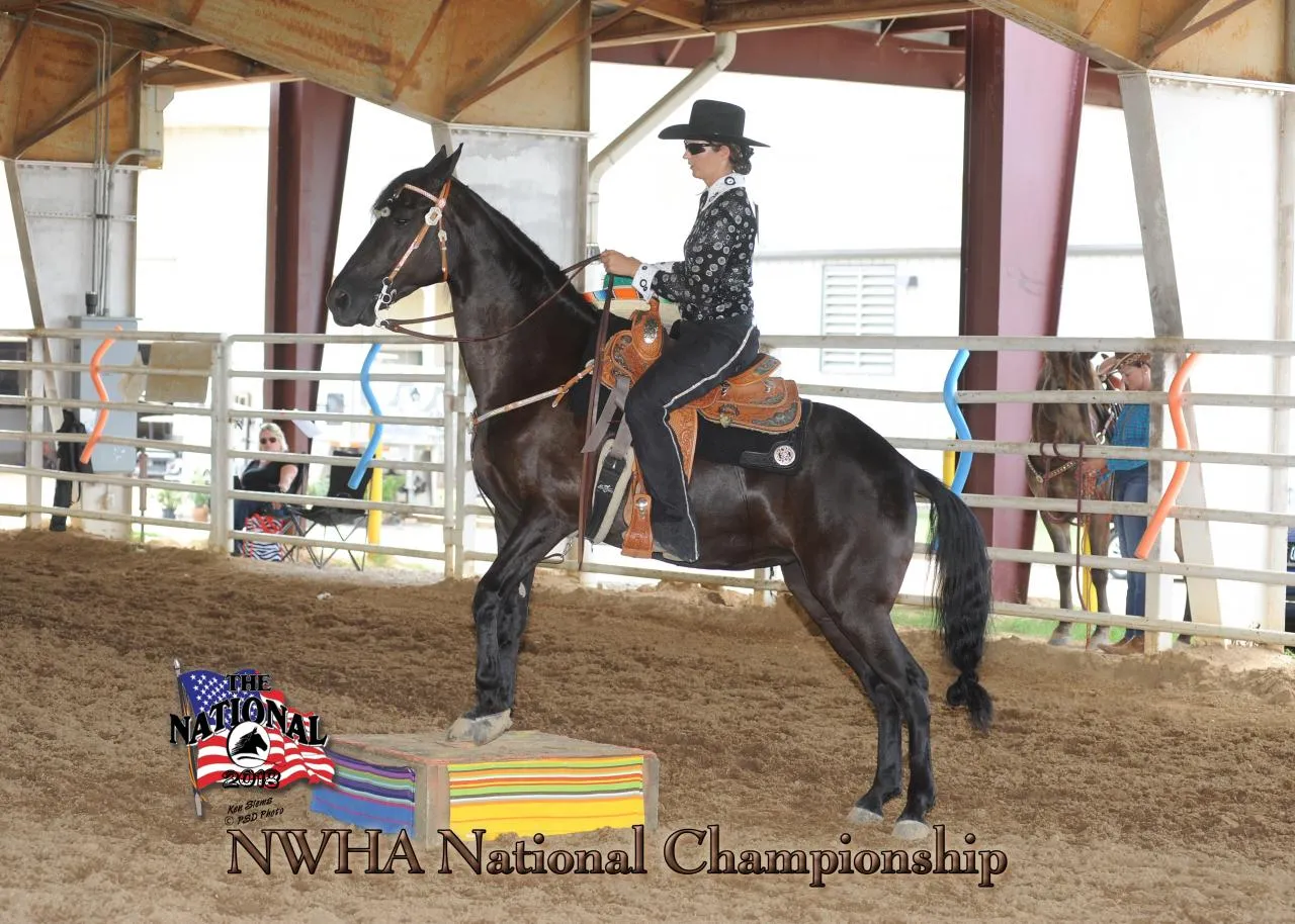2018 NWHA National