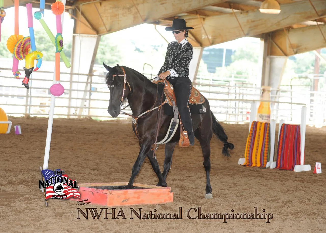 2018 NWHA National
